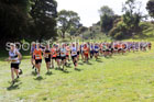 Senior Mens 2026 NEHL, Thornley Hall Farm, Peterlee, County Durham. Photo: David T. Hewitson/Sports for All Pics